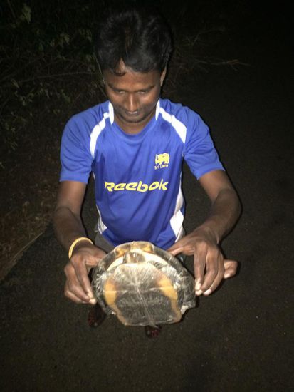 ...und Turtle-Lebensretter