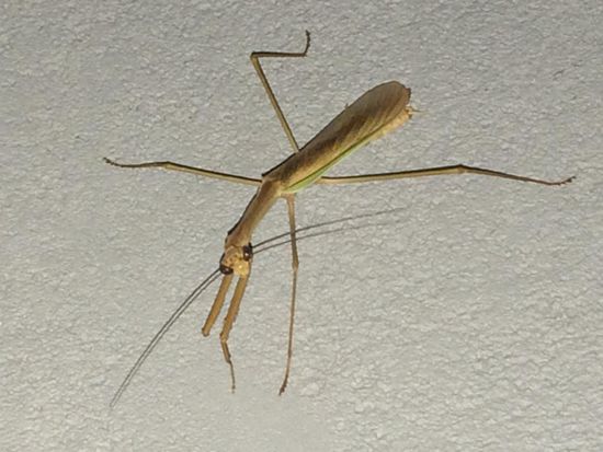 Nachts vor unserer Tür...