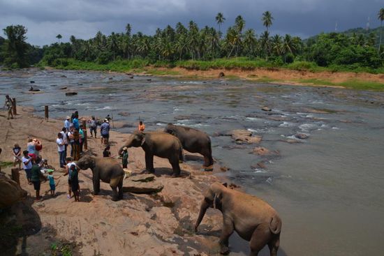 Foto Foto... Money Money...