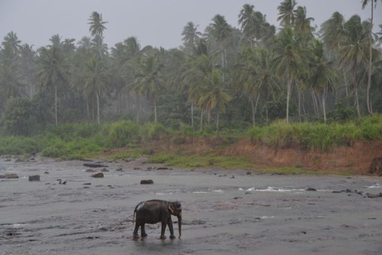 Zwischendurch kurze Schauer