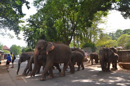 Auf dem Weg hinunter...