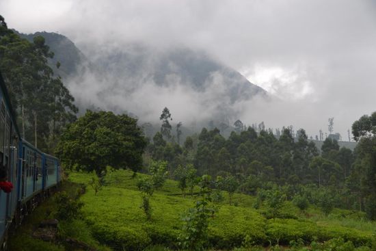 ...in die misty mountains