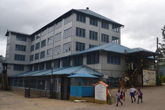 Besichtigung der Blue Field Tea Factory
