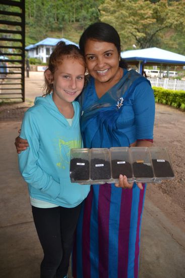 Qualität - 5 verschiedene Sorten Schwarztee