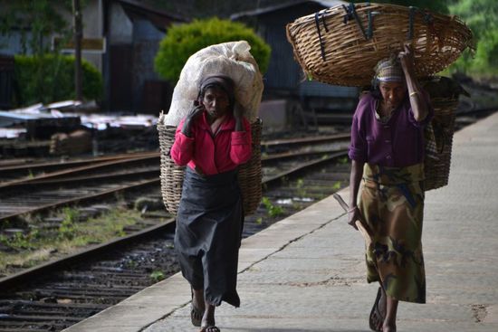 Alle warten auf den...