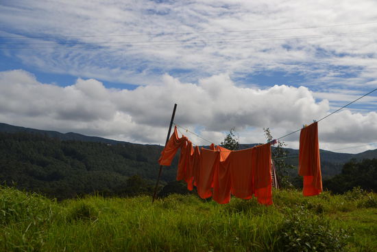 Guten Morgen Bergdschungel