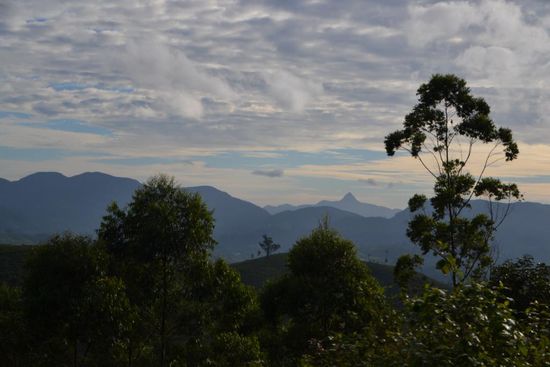 Im Hintergrund der Adams Peak