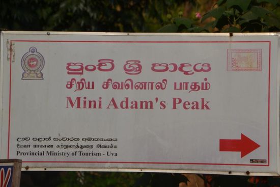 Wanderung am Nachmittag