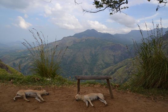 Eine Bank, die leer bleibt 