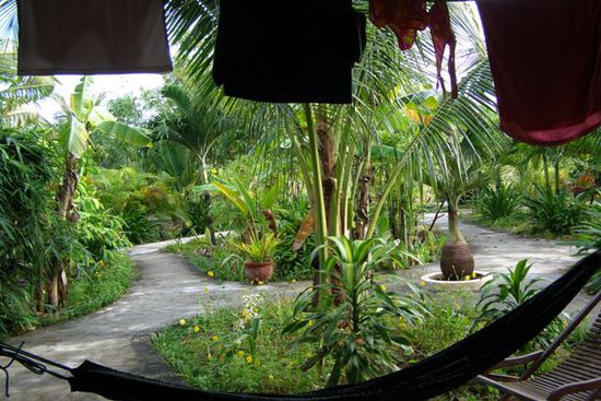 Blick aus unserem Bungalow in die Anlage