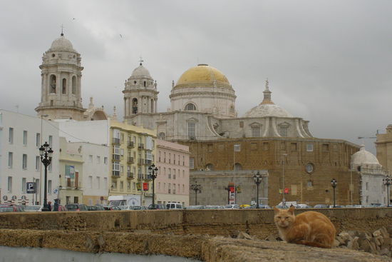 Die prächtige Nueva Catedral von Cadiz