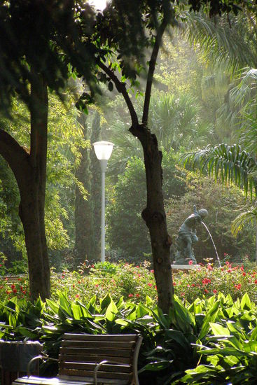 Botanischer Garten am Hafen von Málaga