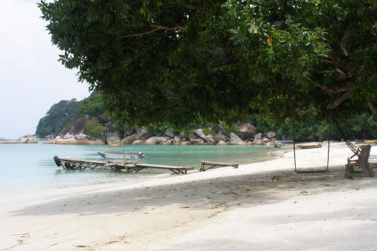 Flora Bay
