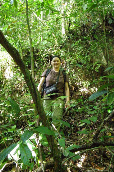 Suchbild: Wer findet das Gesicht im Gruenen?