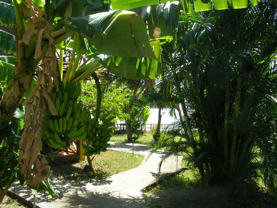 in der Finca Playa Venezia