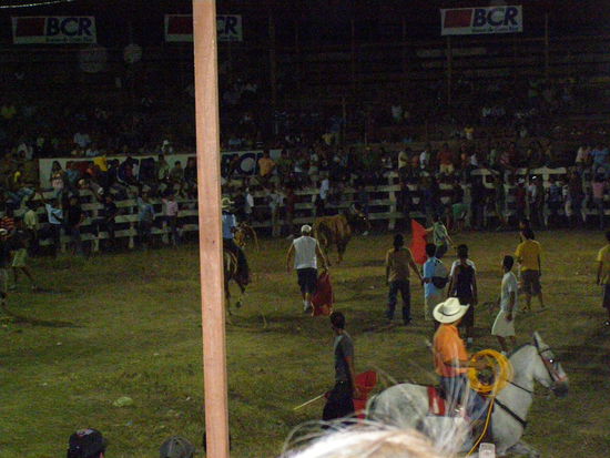 Bitte verzeiht die schlechte Qualität!
Meine alte, treue Olympus und ich sind für derartige Nachtaktivitäten einfach nicht geeignet...