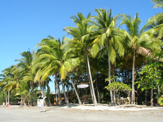 Surfschule direkt vor unserem Hotel