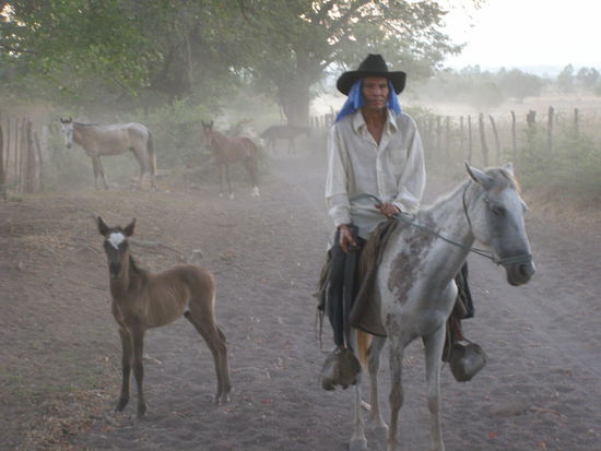 Echte Caballeros reiten im Morgengrauen