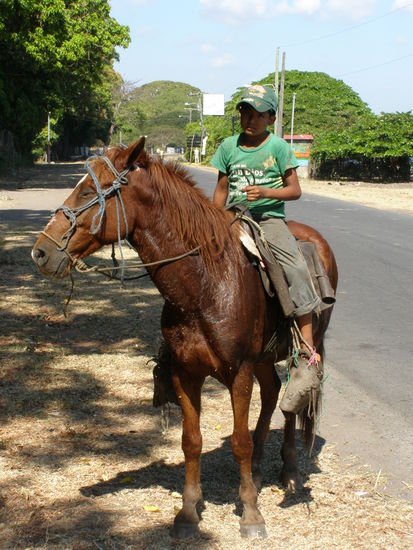 Der Paul und sein Gaul