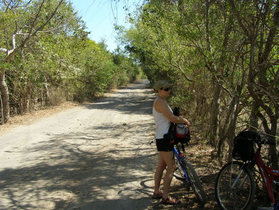 auf der Halbinsel Asese