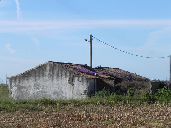 Jedoch soll es den einen oder anderen geben der eine günstige Immobilie im Alentejo sucht. Dieses Schmuckstück dürfte preislich im relativ überschaubaren Bereich liegen - ein wahres Schnäppchen für Liebhaber!