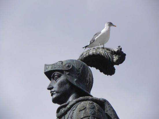 Nur ein kurzes Stück ist es von da aus zum Praça da Figueira, wo sich auf João I. von Portugal auch schon mal eine Taube niederlässt.