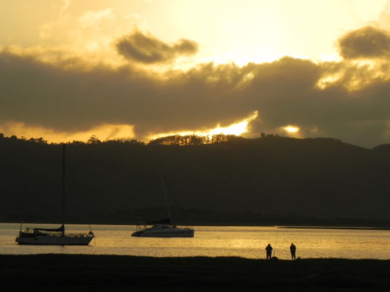 Schon wieder hieß es Abschied nehmen aus Knysna