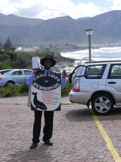 Der berühmte Whale Cryer von Hermanus