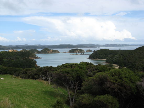 Eindruecke von der "Bay of Island"