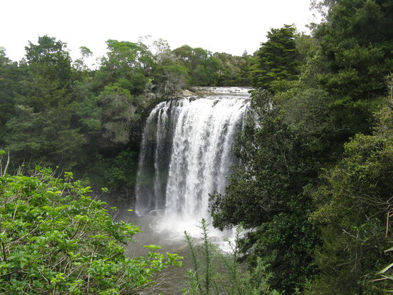 Die "Rainbow Falls" bei Kerikeri
