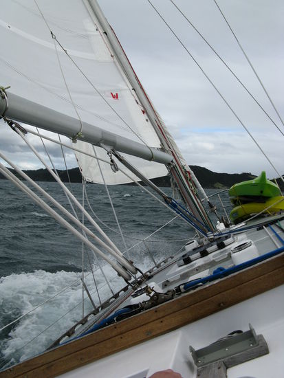 Segeln auf der "She`s a Lady"