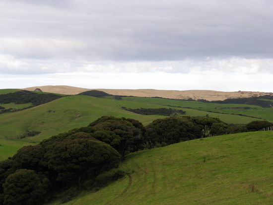 Eindruecke auf dem Weg zum "Cape Reinga"