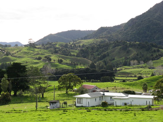 Landschaft in Westen von "Northland"