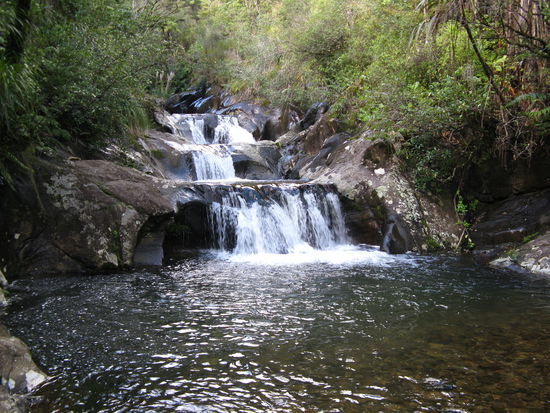 Wasserfall im "Rapaura Water Garden"