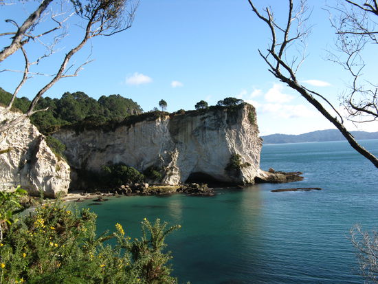 Die "Stingray Bay" in der Naehe von "Hahei"