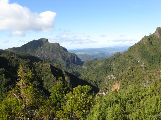 Blick aufs "Kauaeranga Valley"