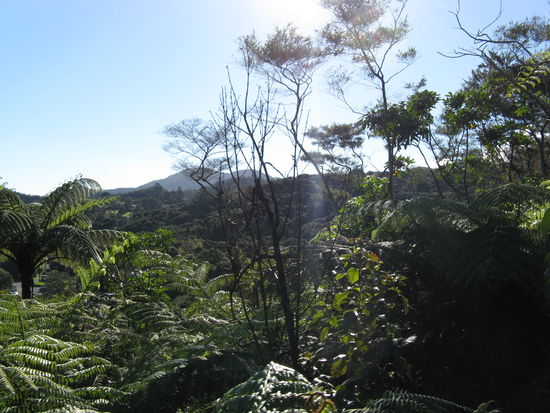 Sonnenstrahlen ueber dem Regenwald