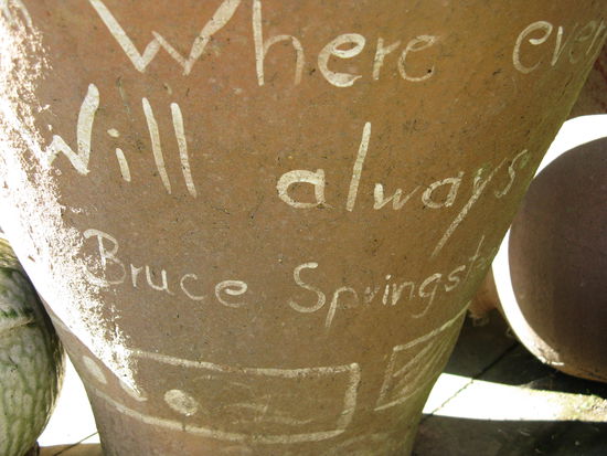 Vase mit Bruce Springsteen Songtexten