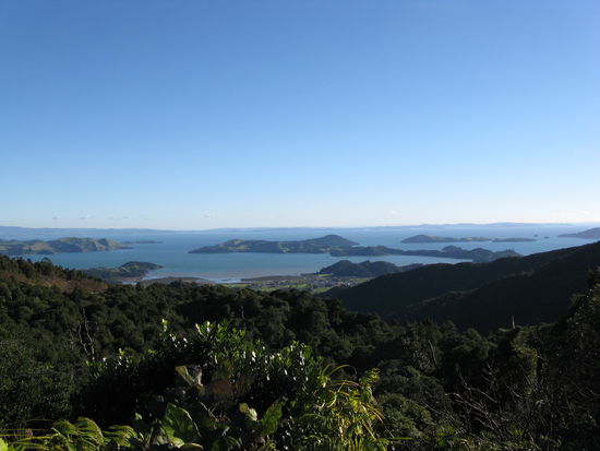 Ausblick unter der Bahnfahrt
