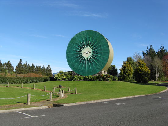 In der "Bay of Plenty" dreht sich (fast) alles um Kiwis.