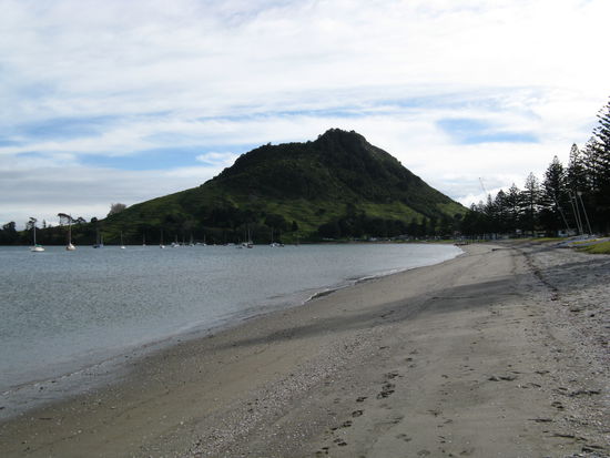Der "Mt. Maunganui" vom Hafen aus gesehen.