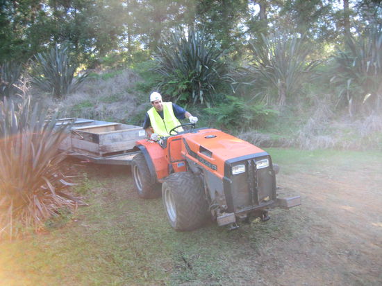 Schon kommt ein Traktor mit neuen Kisten
