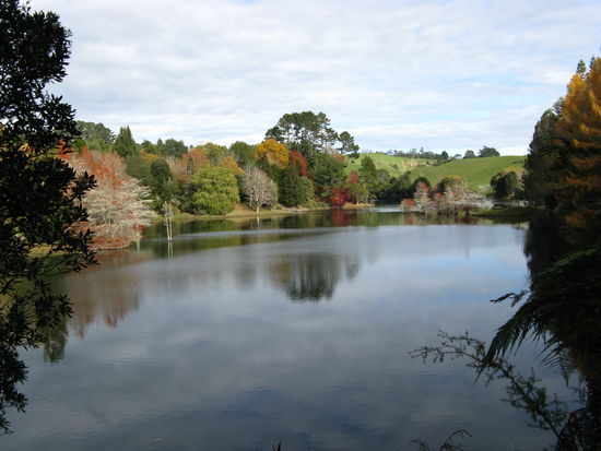 "Mc Laren Falls Park"
