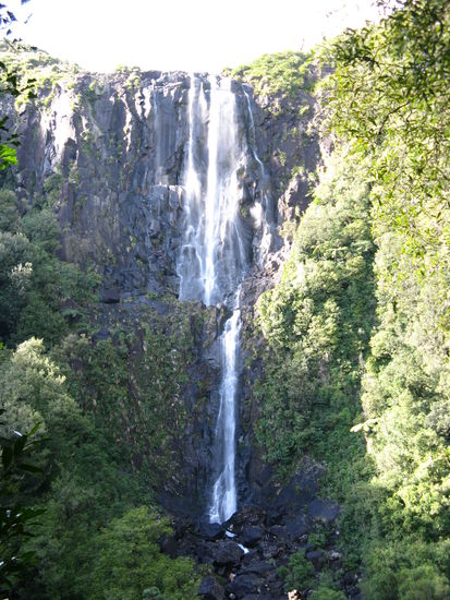 Die "Wairere Falls"