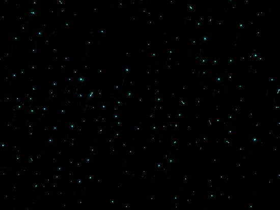 Das Leuchten der Gluehwuermchen.