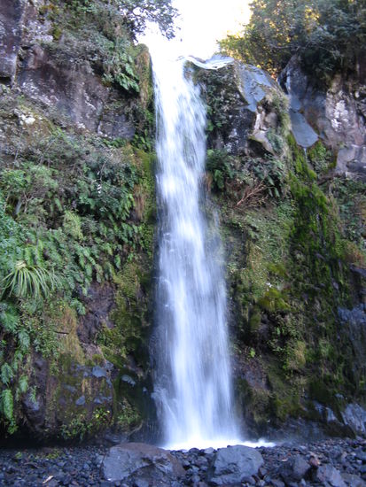 Die "Dawson Falls" nahe des Parkplatzes.