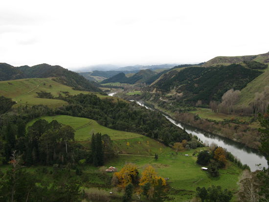 Der "Whanganui River" windet sich durch ein gruenes Tal.