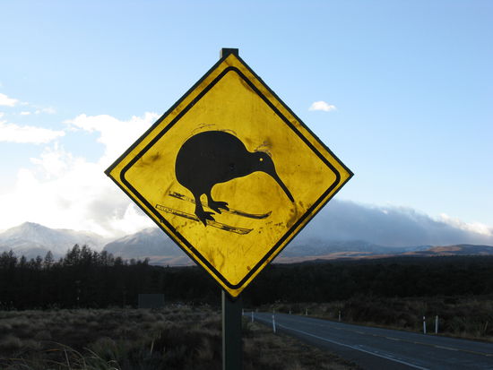 "Tongariro National Park", der Ort an dem die Kiwis Skilaufen gehen.