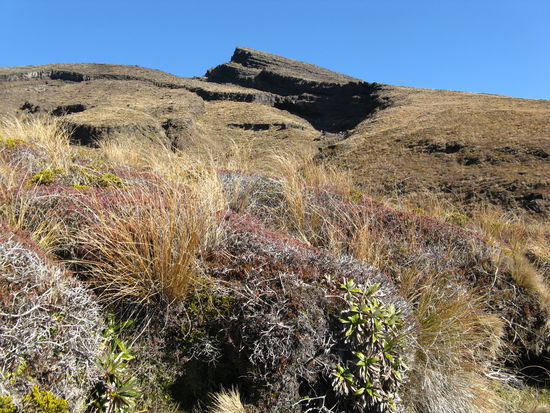 Auf dem Abstieg eine ganz andere Landschaft.