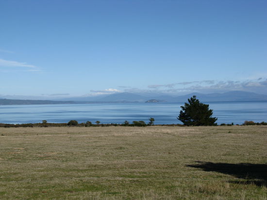 Blick auf den riesigen "Lake Taupo".